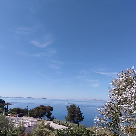 Amazing Villa Galeb In Murter Kamer foto